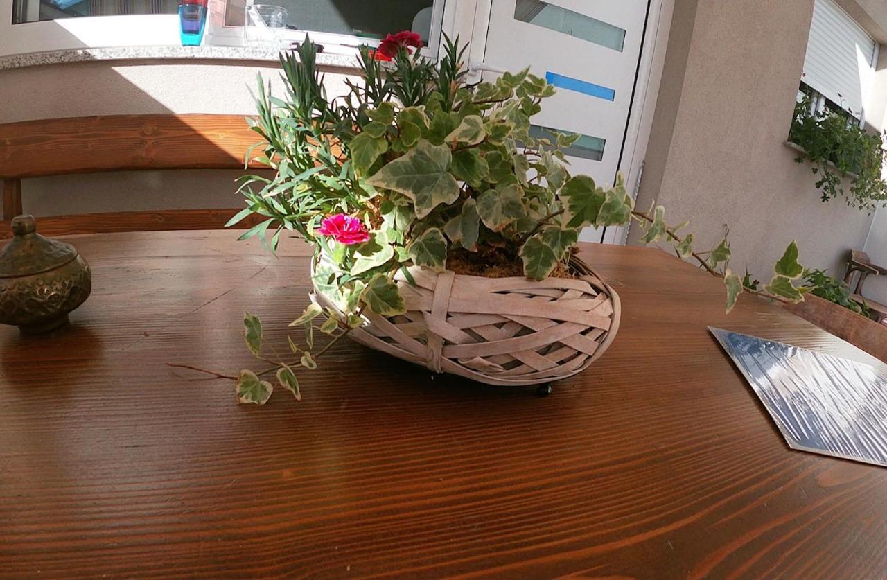 TikTok Apartment Zadar Bagian luar foto